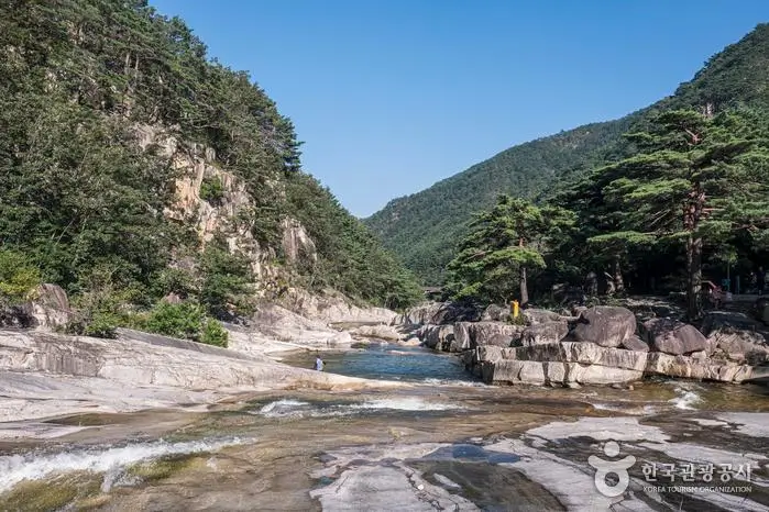 06feb522-0e4b-401b-a582-34e6114c2893