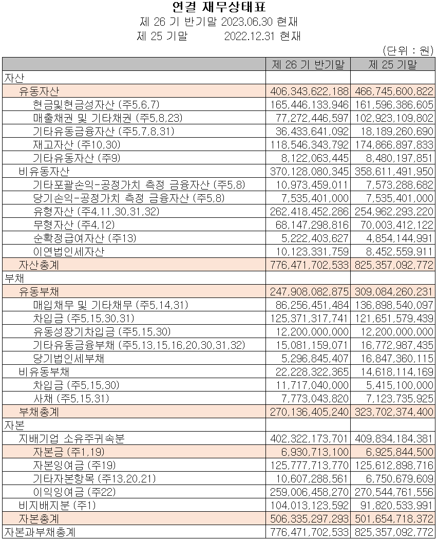 드림텍 - 재무상태표