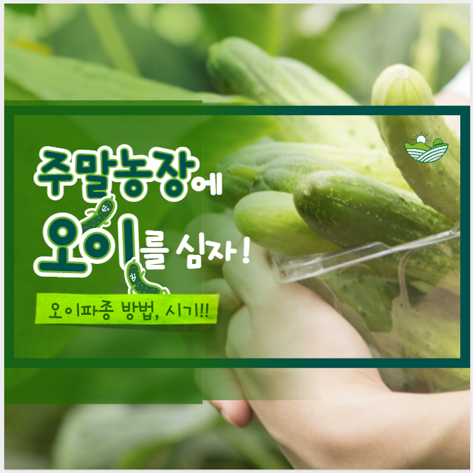 오이
