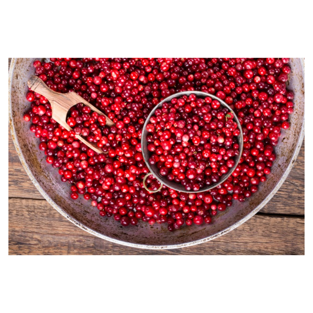 구기자와 관련된 사진입니다.