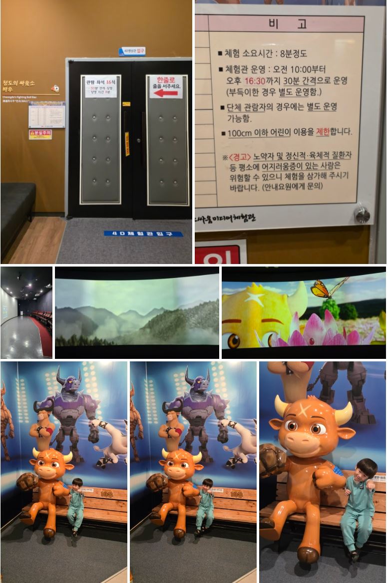 청도소싸움미디어체험관