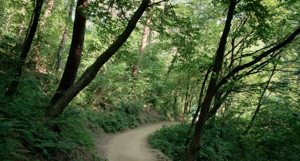 원주 운곡솔바람숲길
