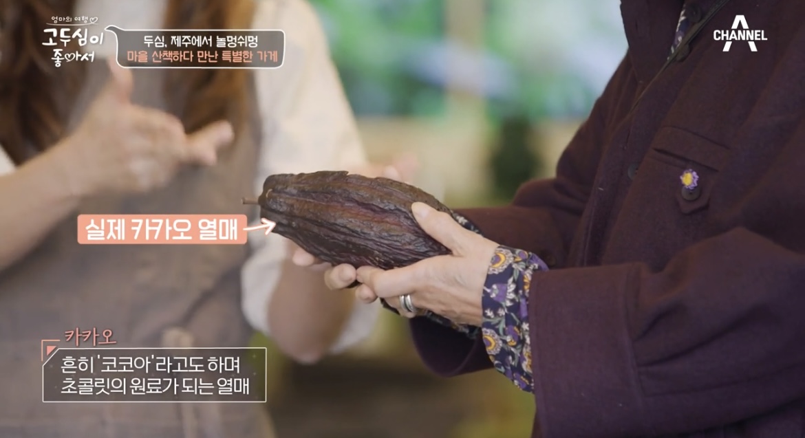 고두심이좋아서실제카카오열매