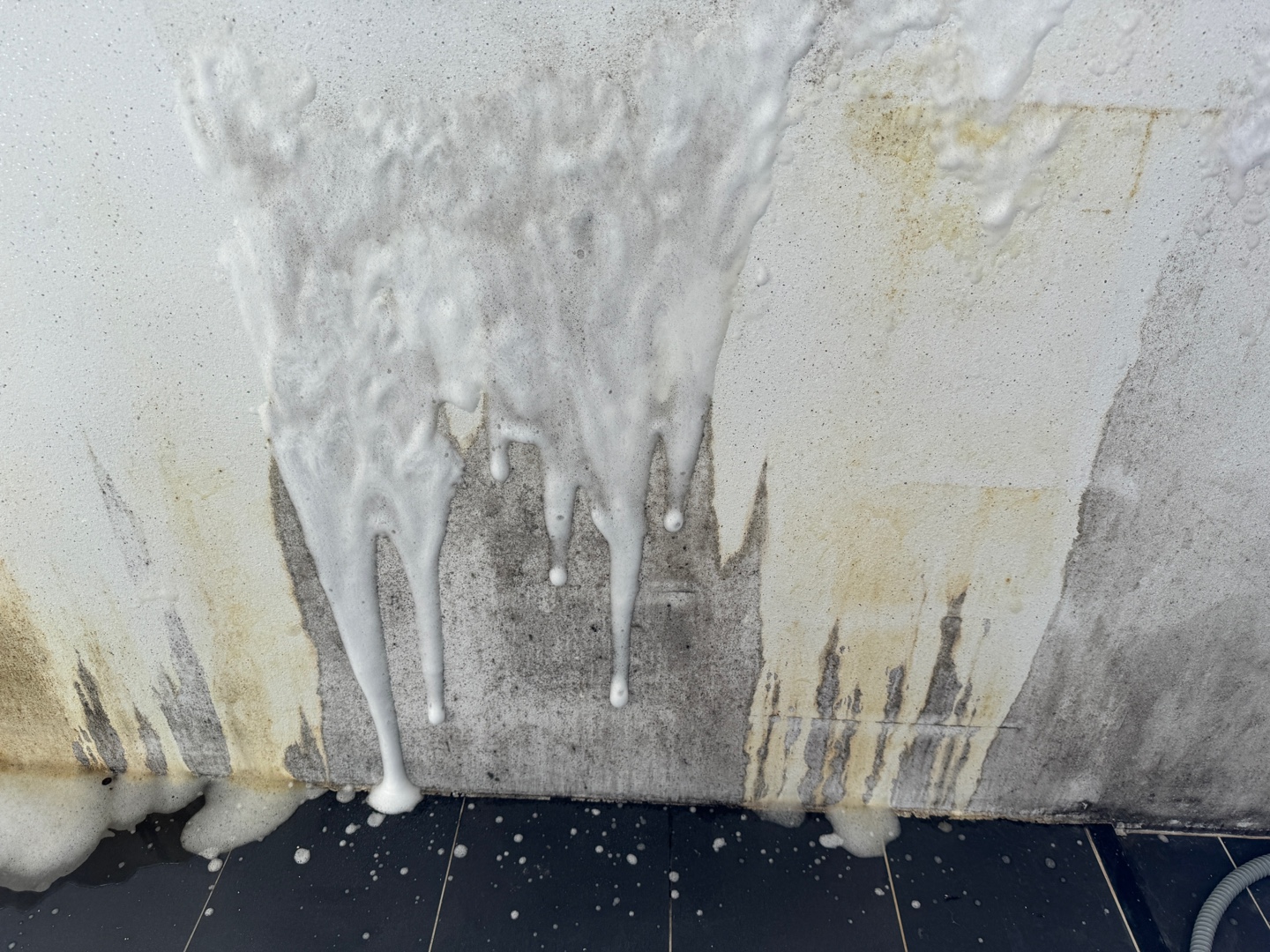 다이소 홈스타 뿌리는 곰팡이 제거제 사용법