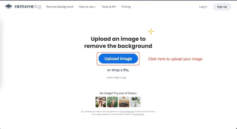 removebg 사이트로 이미지 배경 없애기