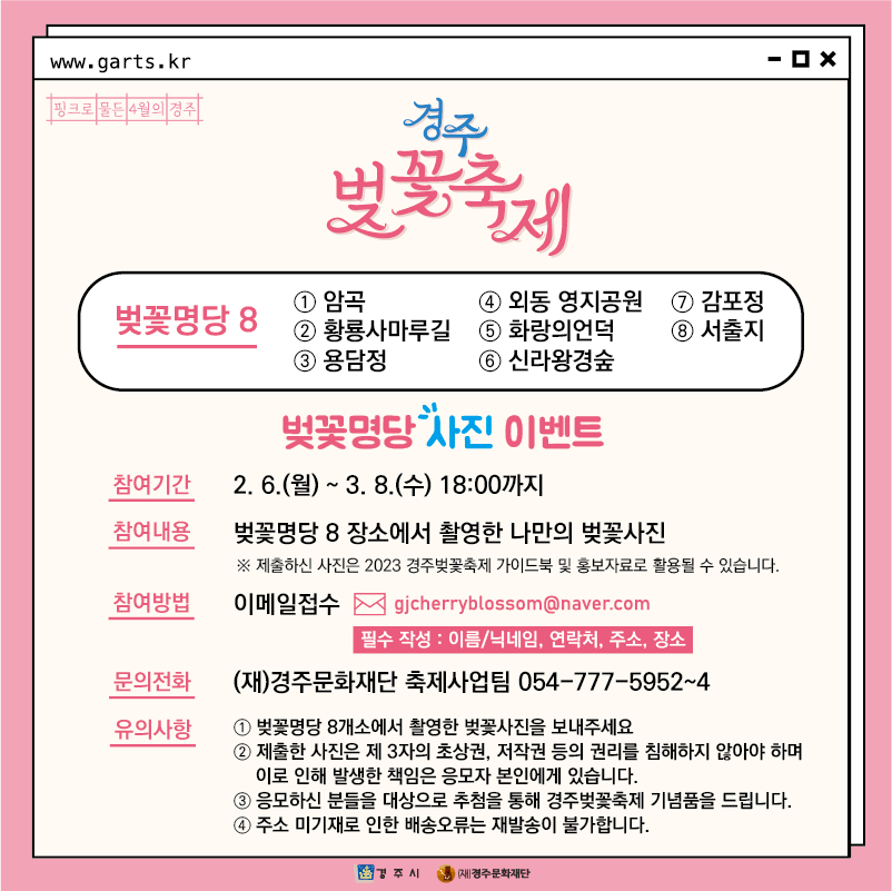 2023년 벚꽃 (9)