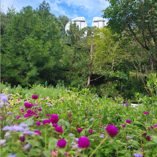 정부24 대체 발급창구 완벽정리