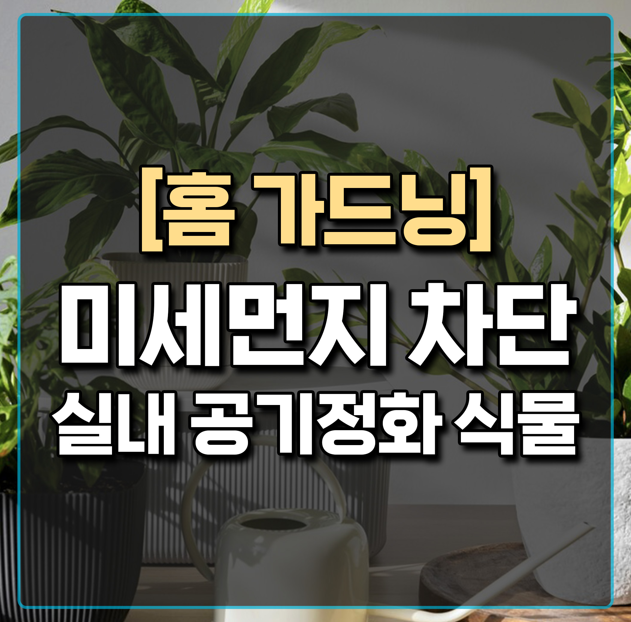 홈가드닝-미세먼지-차단-실내-공기정화-식물