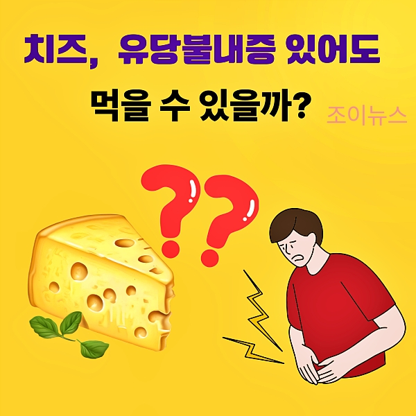 치즈, 유당불내증 있어도 먹을 수 있을까?