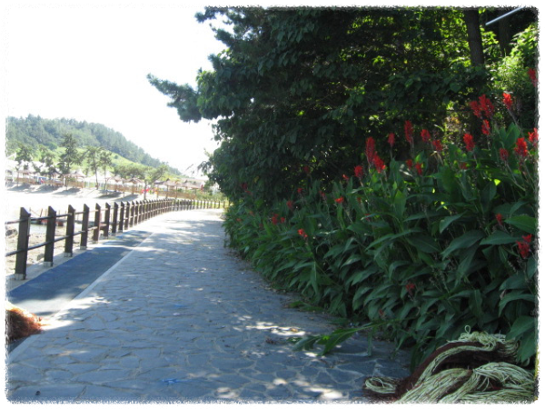 외달도 해안산책로