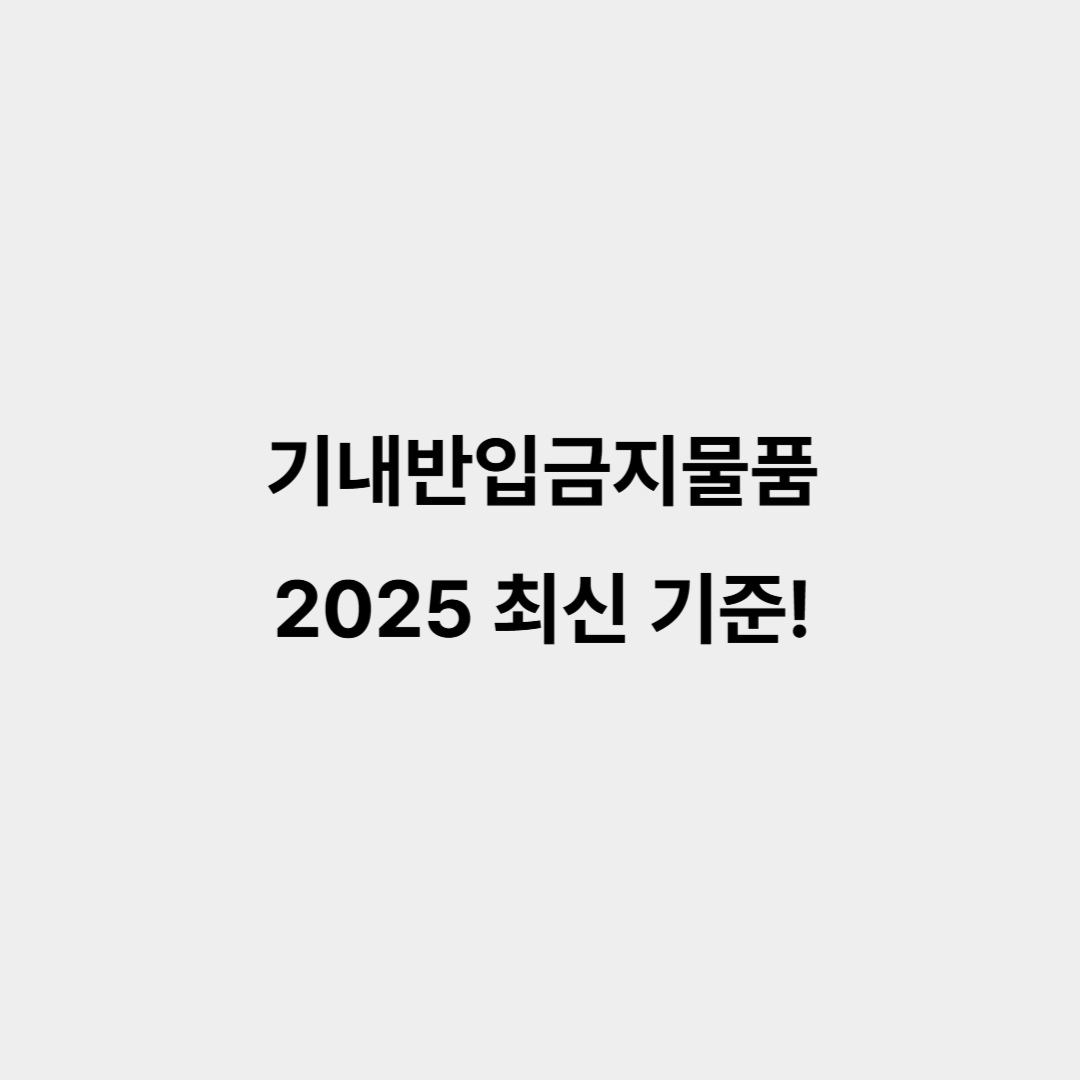 기내반입금지물품 2025 최신 기준 국제선, 국내선 비행기, 보조배터리기내반입