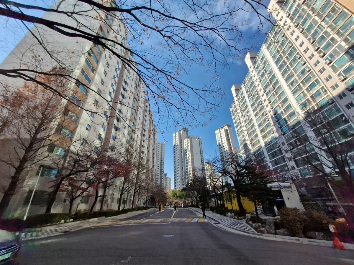 가운데-길을-사이에-두고-양쪽으로-뻗어있는-아파트