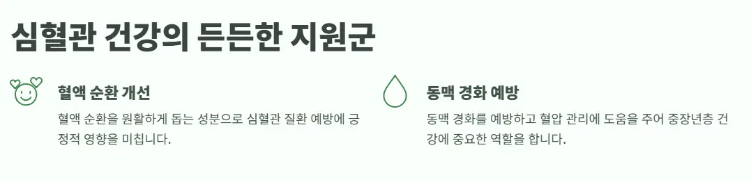 심혈관-건강