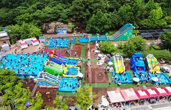 2024 블루밍워터 페스티벌 부산경남 일정, 프로그램