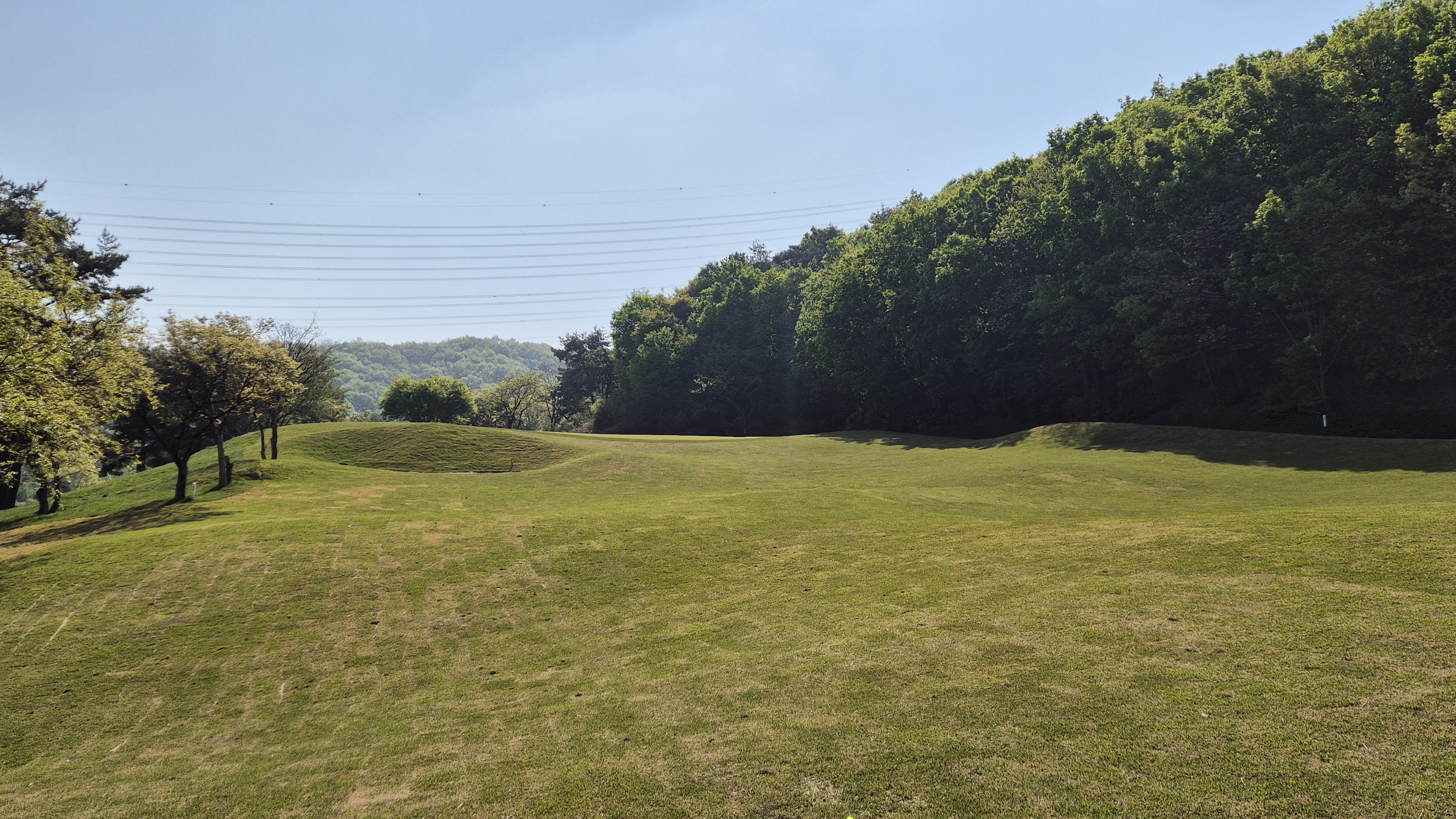 마에스트로cc 코스