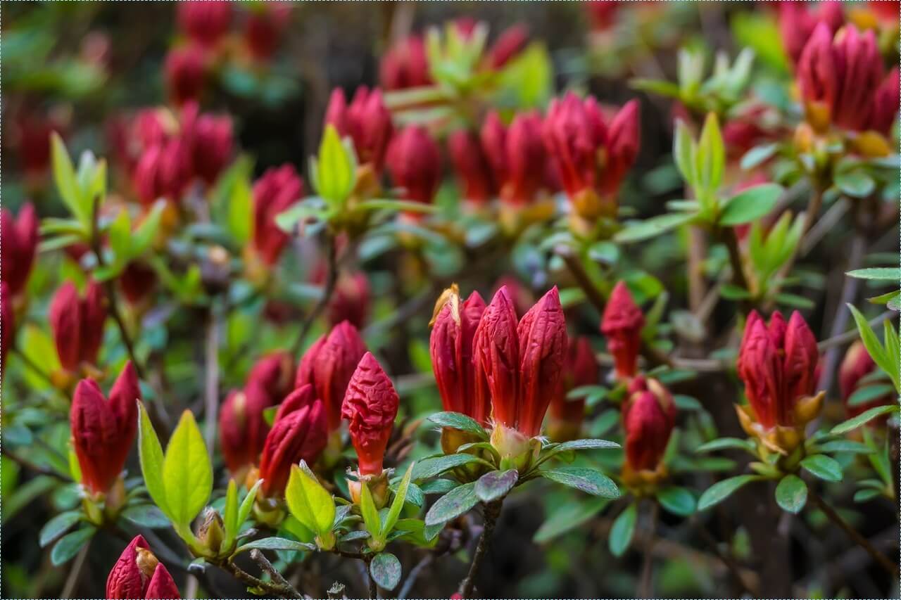 새마을금고 적금 이율