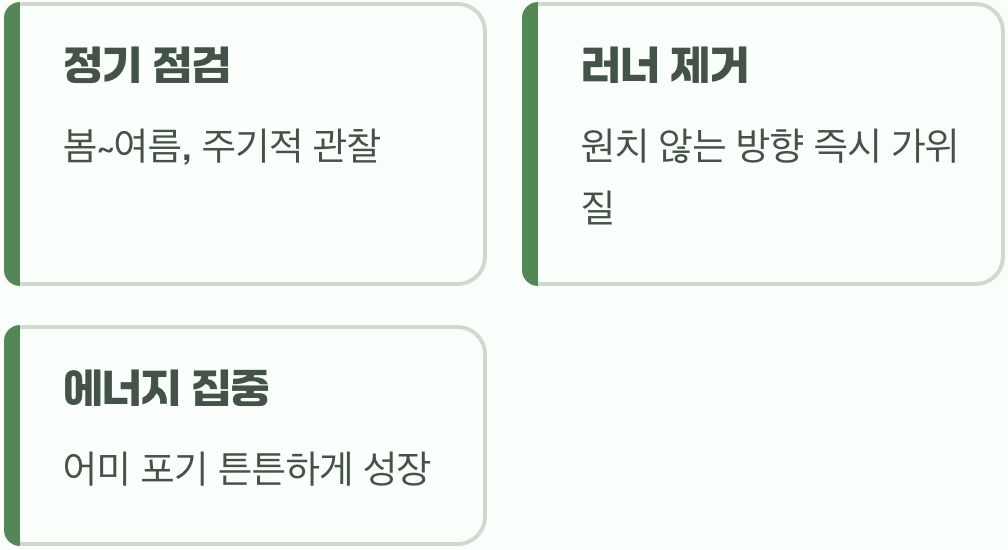 예쁜 잡초가 되지 않게 하려면?