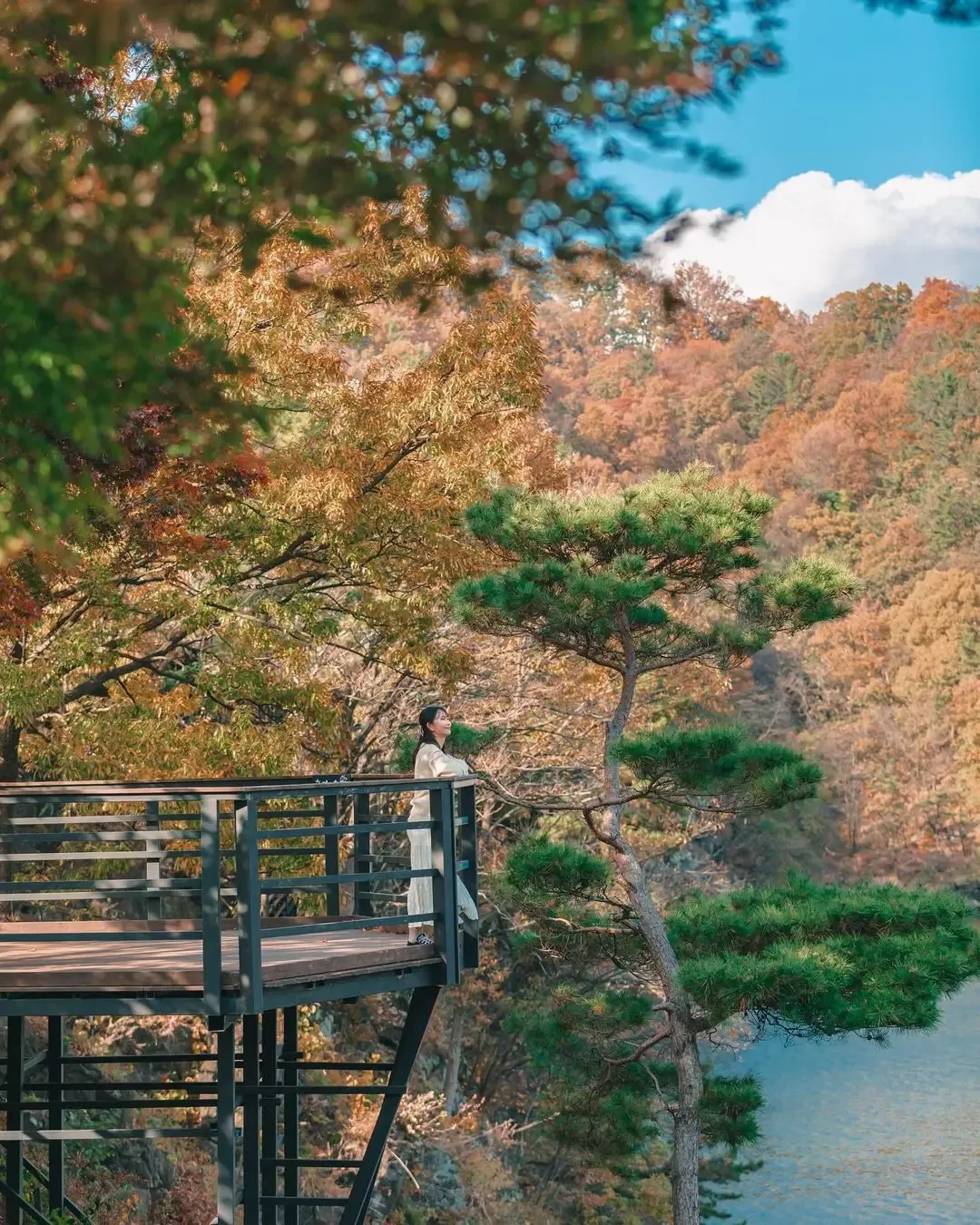 옥천 가볼만한곳 베스트10 현지인 추천 필수코스_6