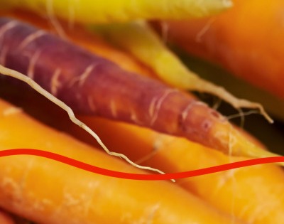 당근 효능 부작용