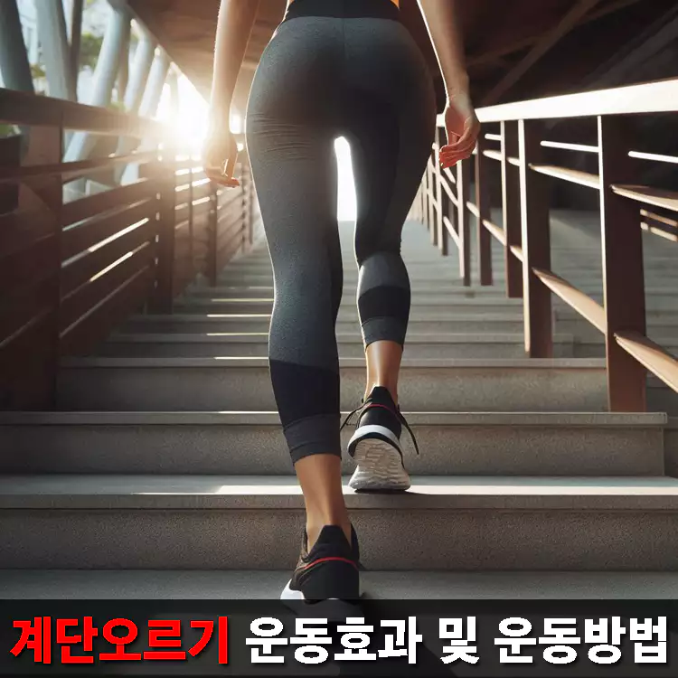 계단오르기-운동효과-및-운동방법-총정리