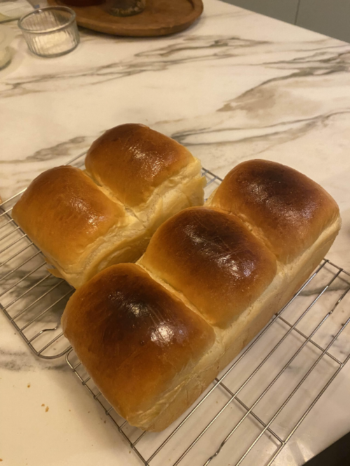 발뮤다 더레인지 식빵