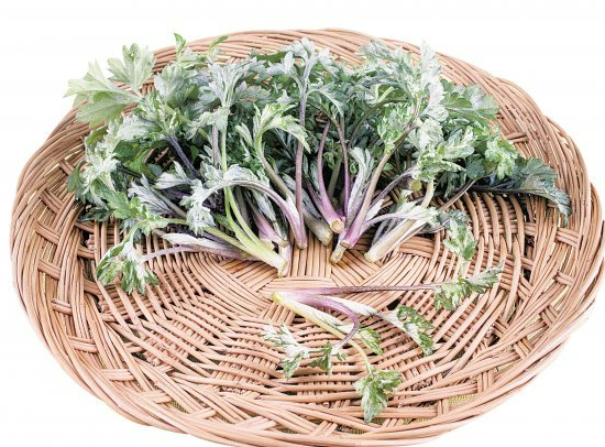 3월에 먹으면 좋은 제철 음식(봄철 음식) - 쑥 편 (효능, 쑥이 들어가는 음식)