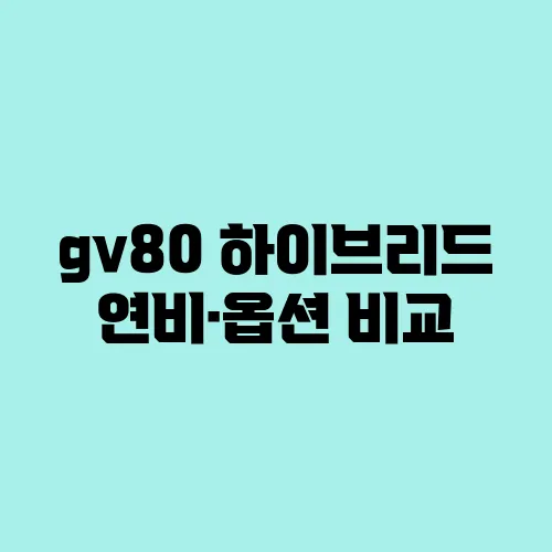 gv80 하이브리드 연비·옵션 비교