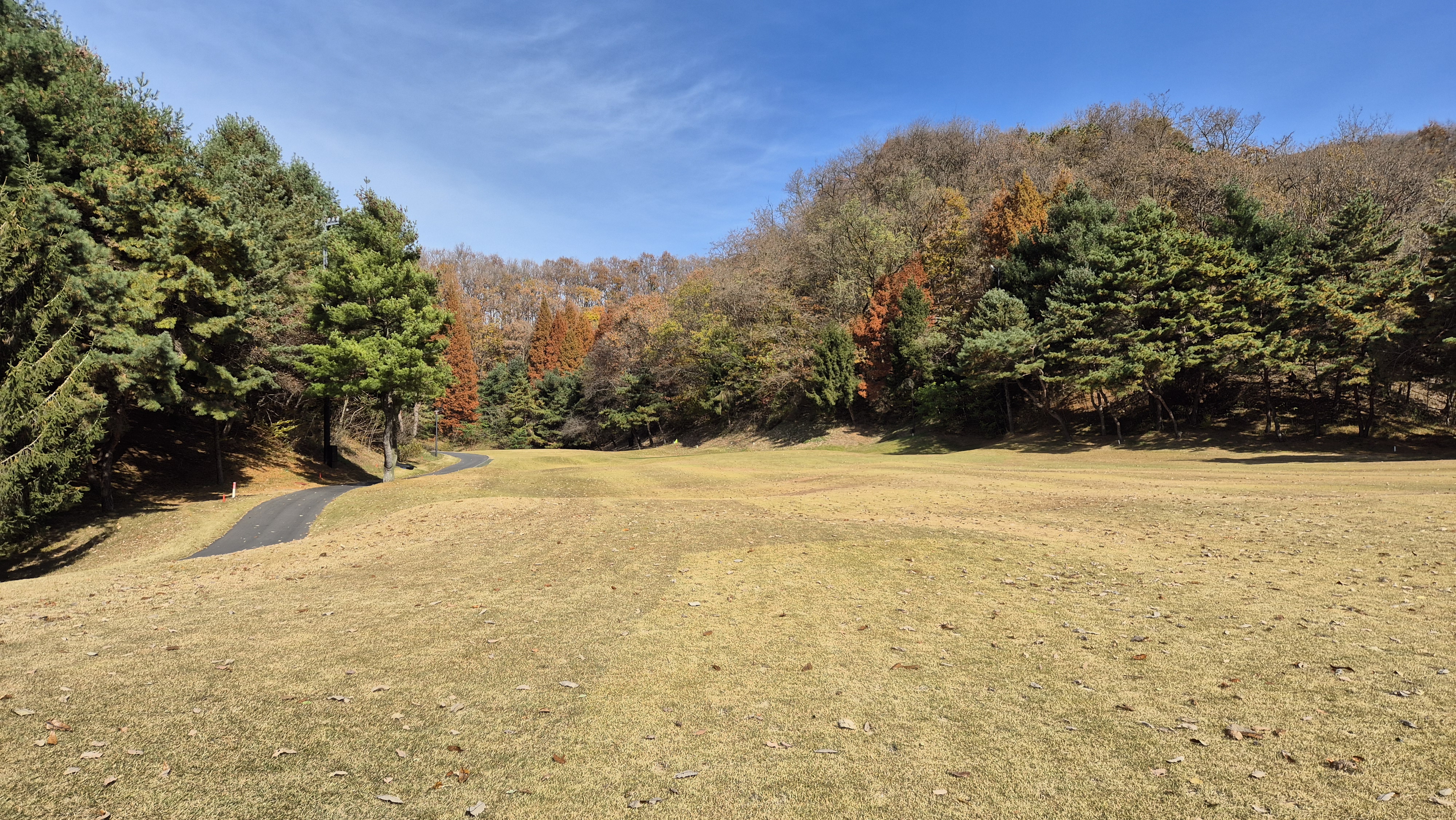 세종에머슨cc 마운틴코스 사진 및 공략 정보