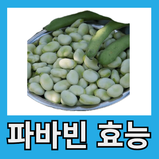 파바빈 효능