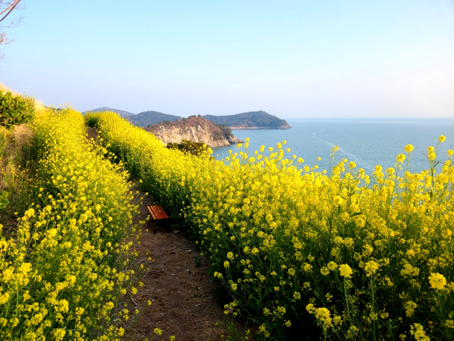 고흥 힐링파크 쑥섬쑥섬
