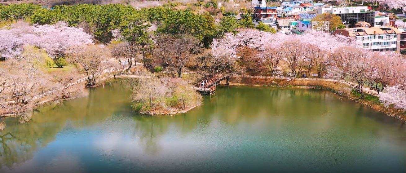 진해 군항제 축제 정보