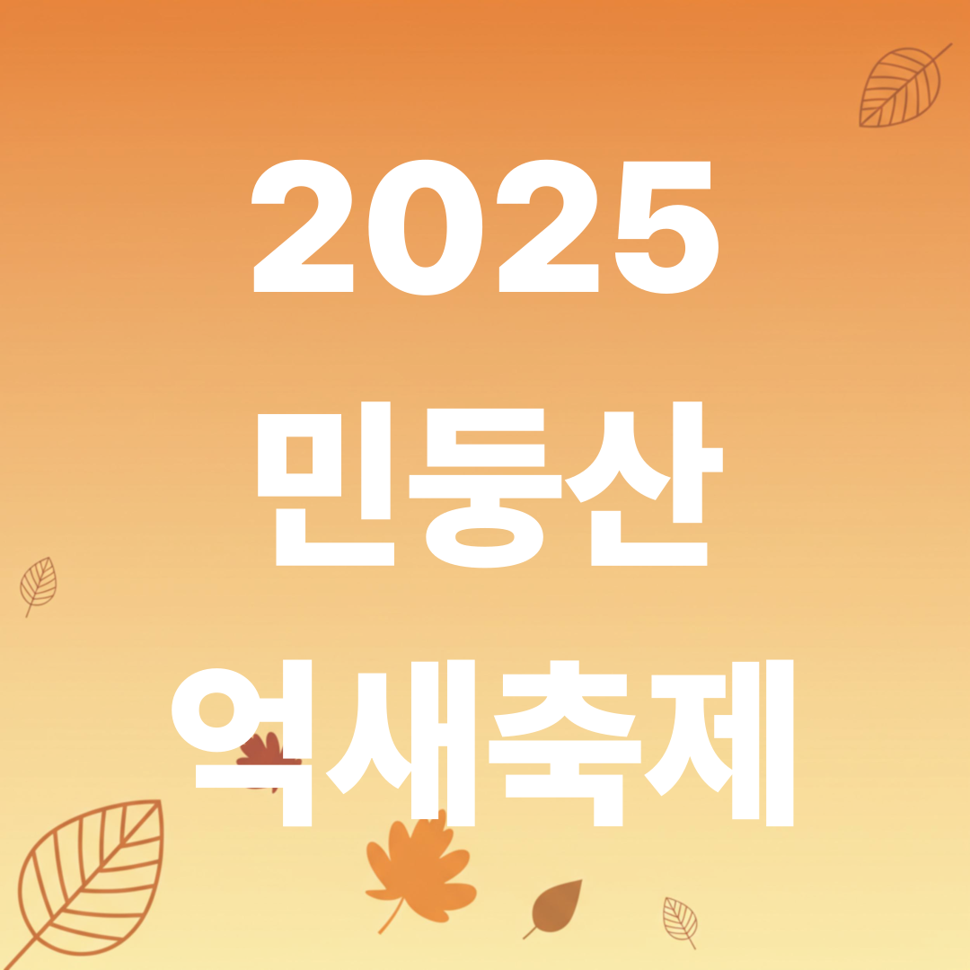 민둥산 억새축제 2025|정선 가을 트레킹 명소