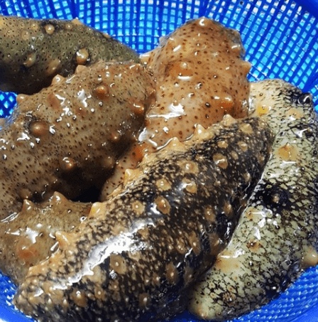 가을철 제철음식 추천