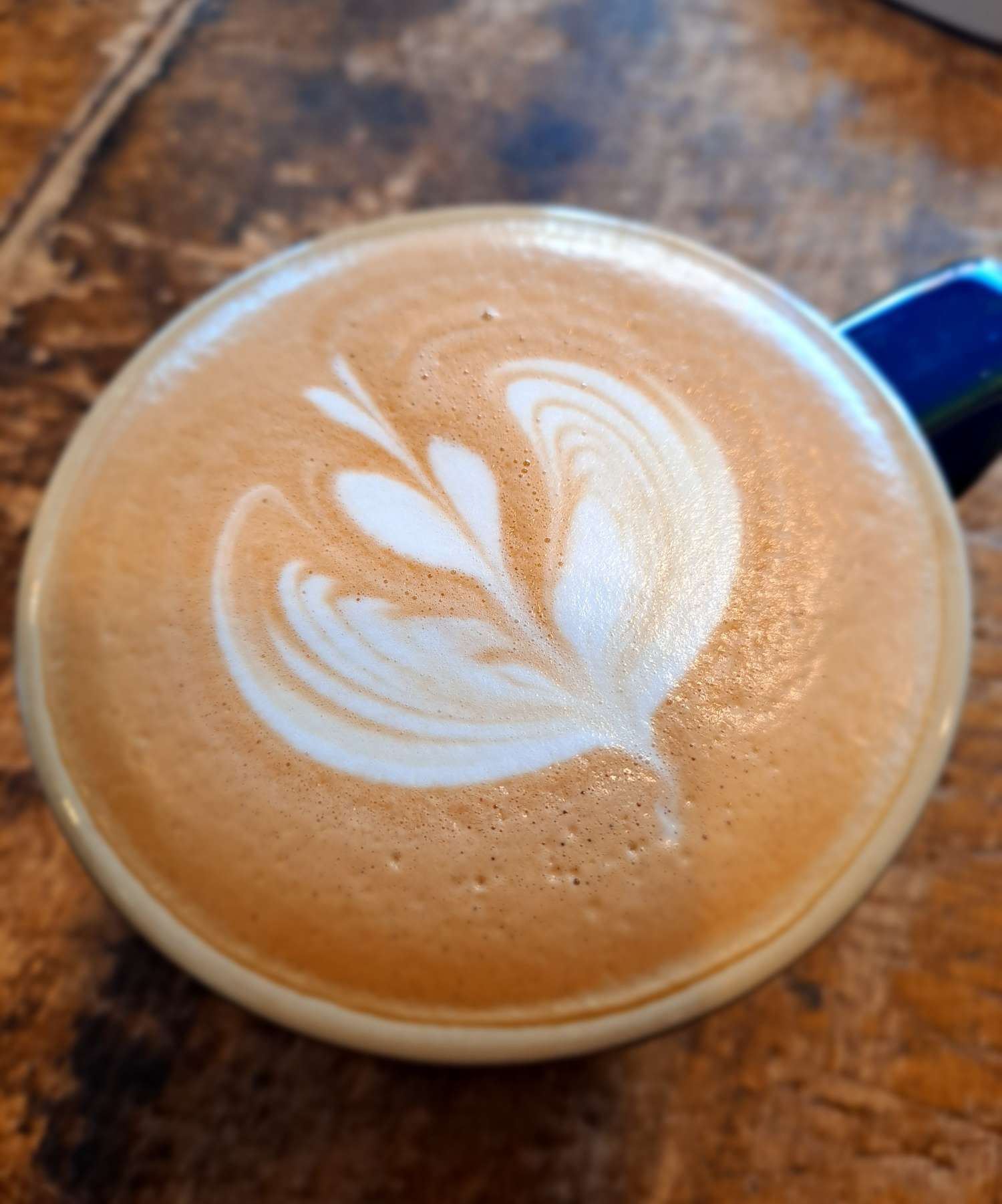 카페라떼 3단윙