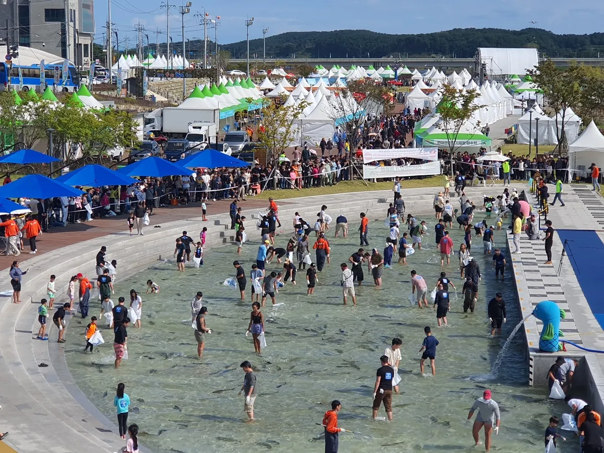 양양 송이연어축제 3년 만에 다시 개최 일정 총정리_4