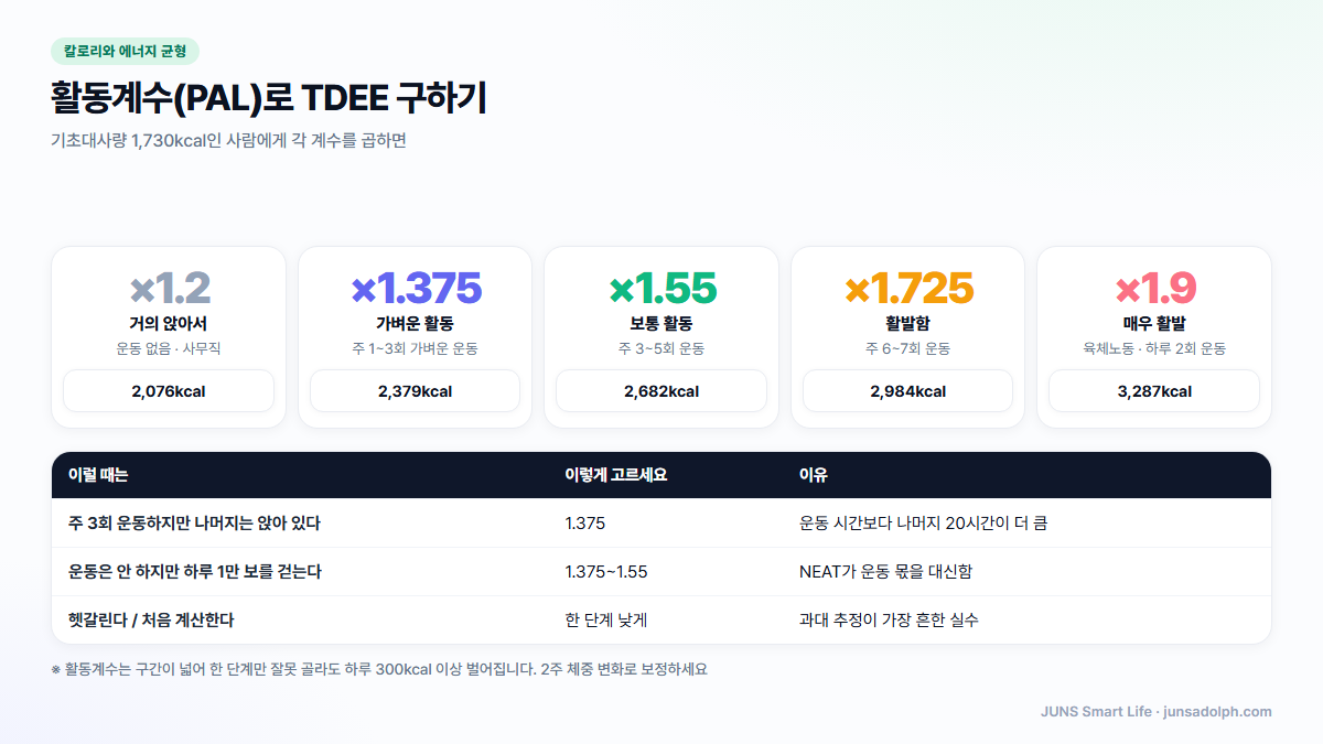 활동계수 PAL 구간별 TDEE 비교 도식