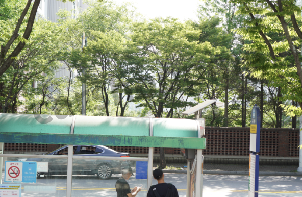 버스전용차로 가능차량