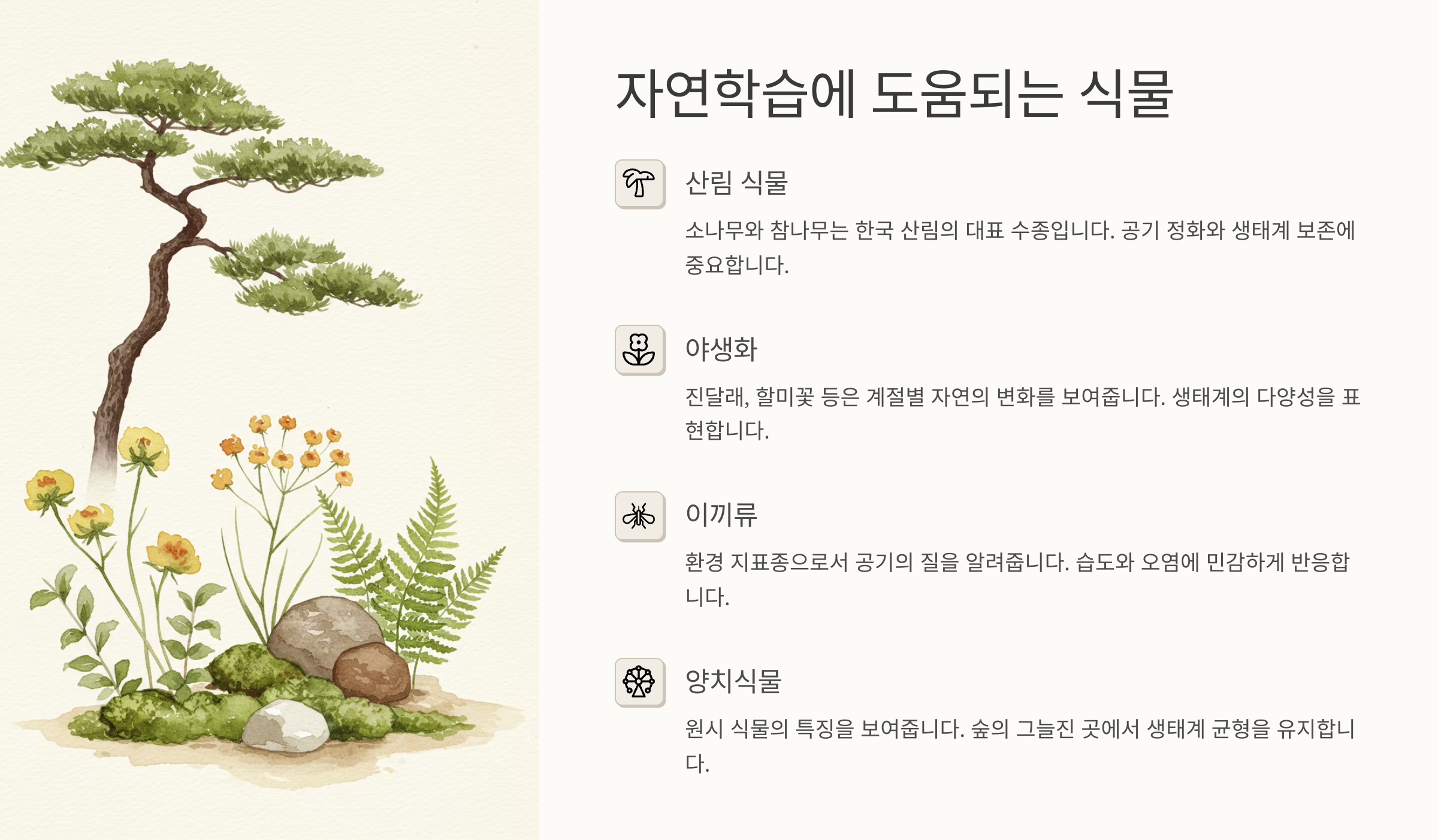 🍃 자연학습에 도움되는 식물