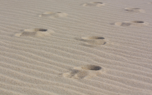 발자취 따라 걷는 길