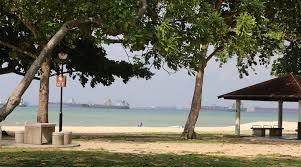 센토사 & 이스트 코스트 파크 (출처:트립닷컴/트립어드바이저)