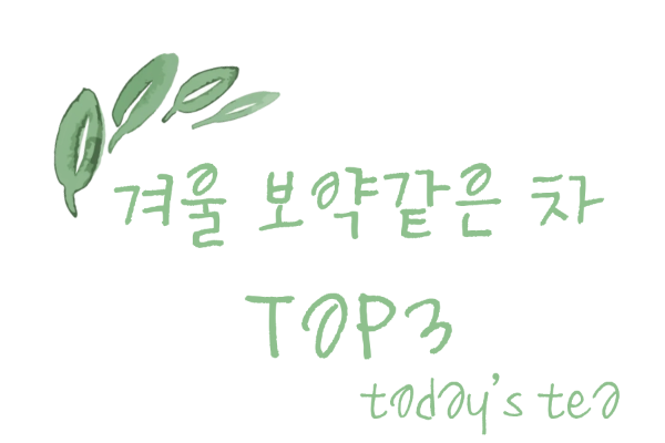 겨울 보약 같은 차 TOP3