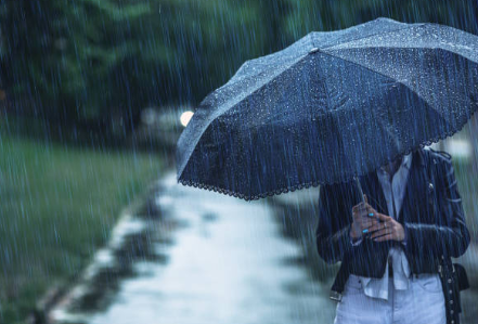 2025년 장기간 및 태풍예보 총정리