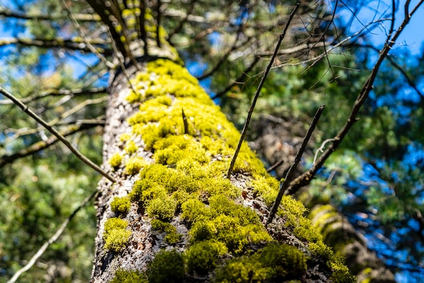 초등학생에게 지속 가능성과 환경 인식을 교육하기