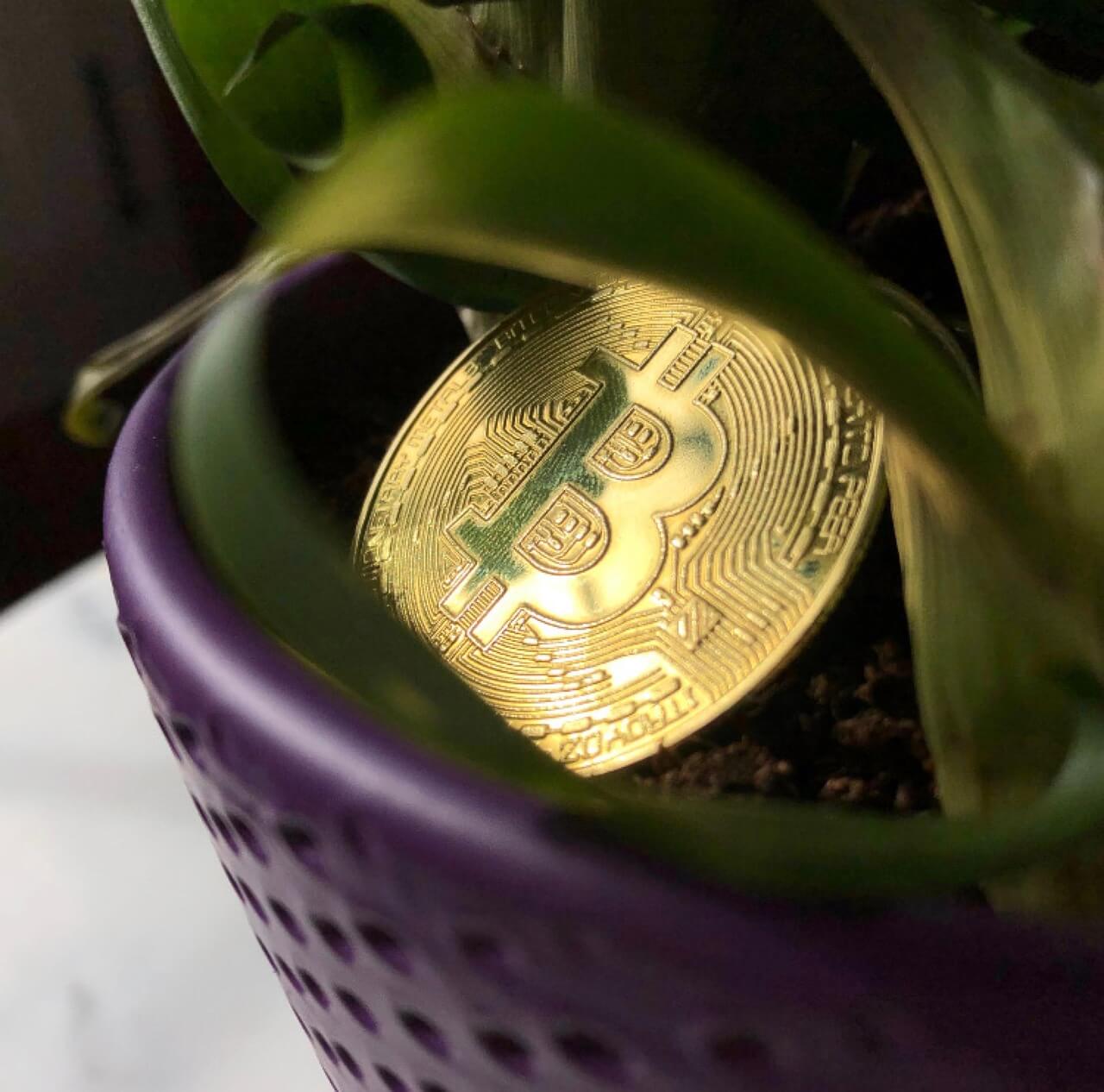 💰2025년&amp;#44;안전하게시작하는암호화폐투자가이드 ((How to Start Investing in Cryptocurrency Safely (2025 Edition))