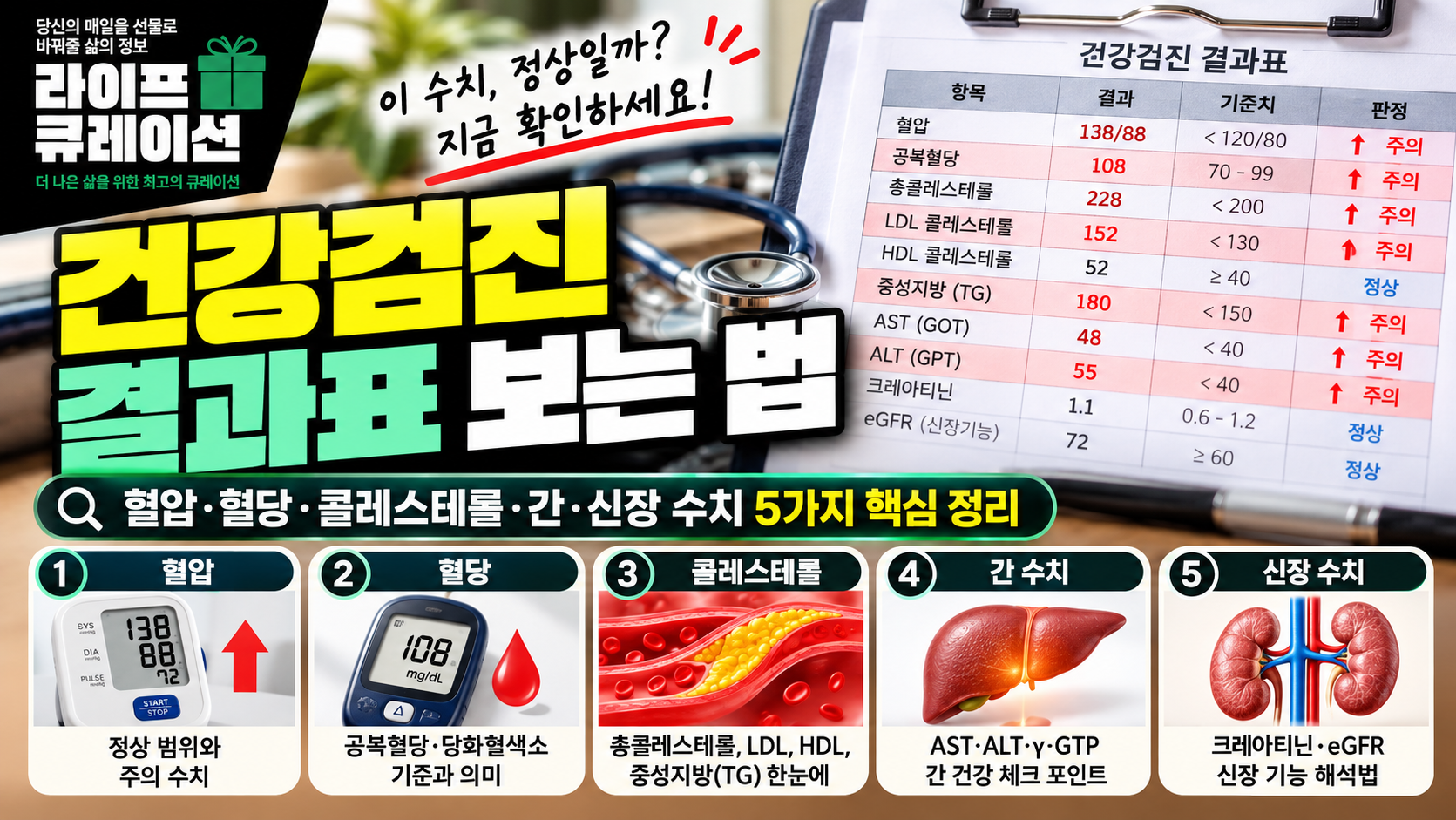 검진결과표 보는법
