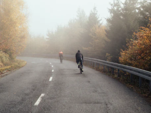 자전거 운동 효과
