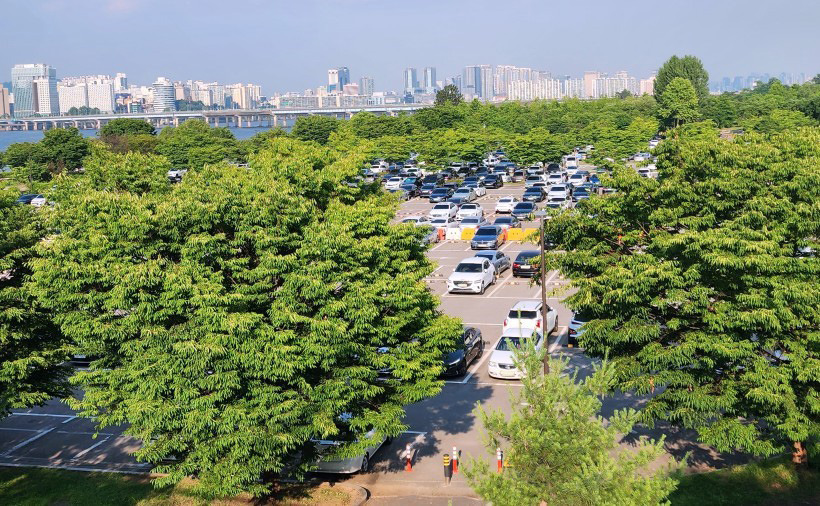 2025 여의도 수영장 이용 정보 – 운영일정, 연락처, 요금, 시설, 놀이기구까지!