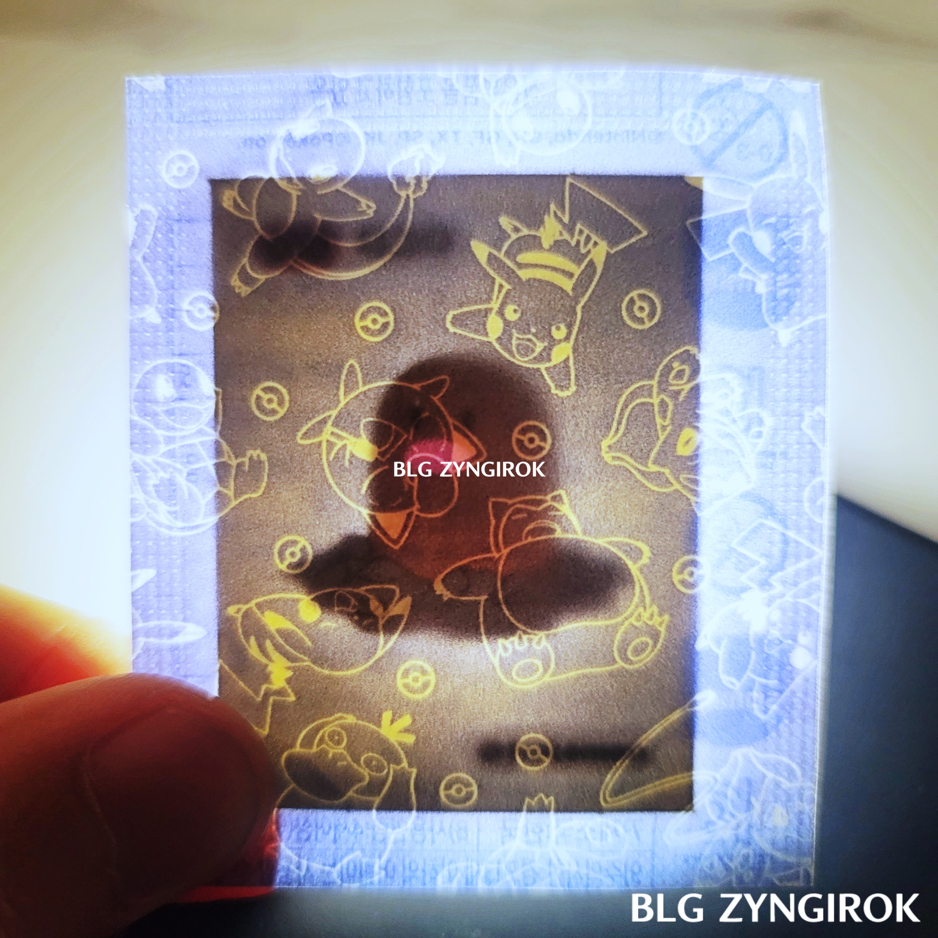 띠부띠부씰-디그다를-들고있다.