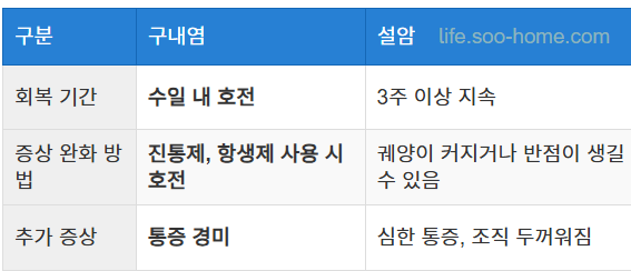 설암과 구내염의 구별법