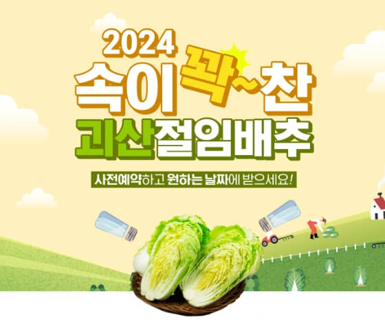 괴산 절임배추20kg